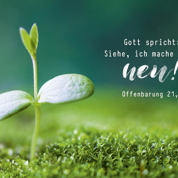 der mensch plant gott lacht Gott spricht: Siehe, ich mache alles neu